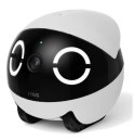 EnaBot - Rola Mini - robot monitorujący dla psów i kotów