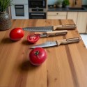 ZESTAW NOŻY KUCHENNYCH BERGNER BG-39420 CHARCOAL