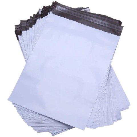 BSTech Foliopak koperta foliowa mocna FB05/C3 350X460 karton 1200 sztuk