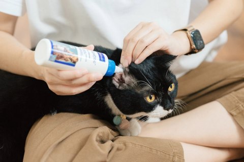 VIRBAC EPI-OTIC Płyn do pielęgnacji uszu 125ml
