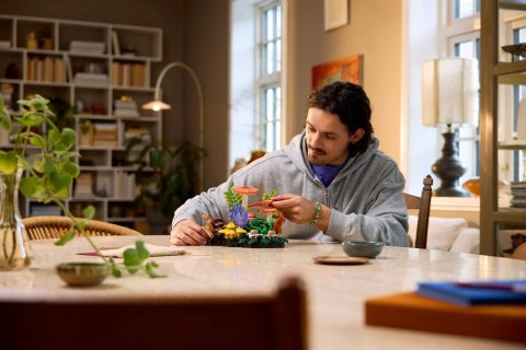 LEGO Botanical Collection 11505 - Grzyby leśne