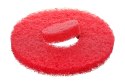 SkyWalker 50 Rosiwit Pad