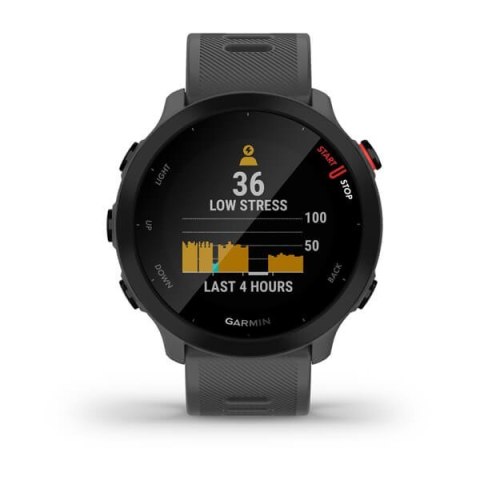 Zegarek sportowy Garmin Forerunner 55 MIP 42mm Monterra Grey