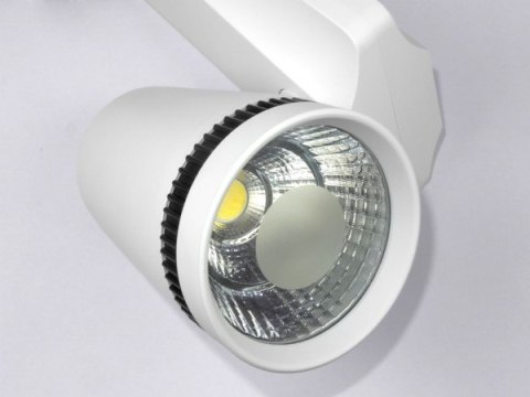 Projektor LED Barato szyna 1 faza 15W 3000K
