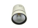 Downlight LED COB LONER 15W+3W biały ciepły+niebi