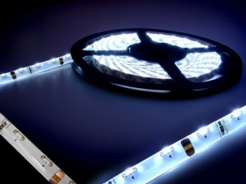 Taśma LED 335 biała zimny 5m/300diod IP65 bocz--