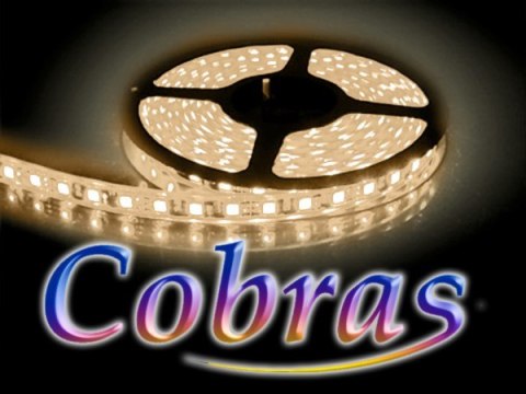 Taśma LED COBRAS 5050 biała ciepła CC 5m/300diod I