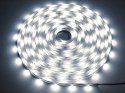Taśma LED Premium 2835 60d/m 100m 4000K IP20
